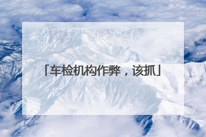 车检机构作弊，该抓