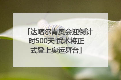 达喀尔青奥会迎倒计时500天 武术将正式登上奥运舞台