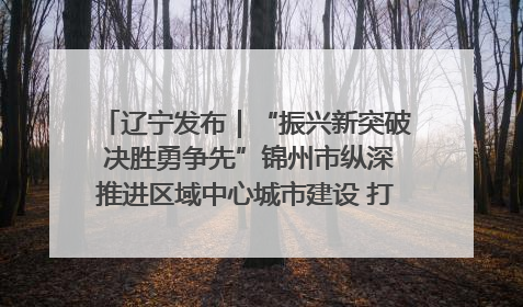辽宁发布｜“振兴新突破 决胜勇争先”锦州市纵深推进区域中心城市建设 打造高质量发展新增长极