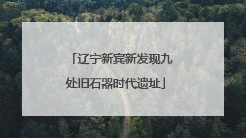 辽宁新宾新发现九处旧石器时代遗址