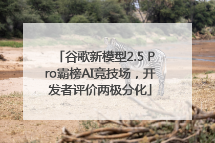 谷歌新模型2.5 Pro霸榜AI竞技场，开发者评价两极分化