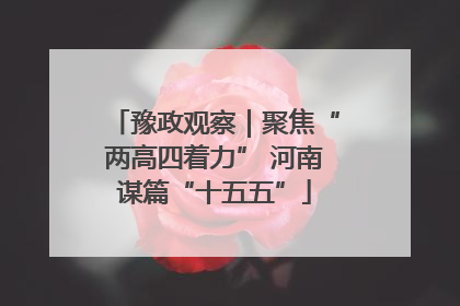 豫政观察｜聚焦“两高四着力” 河南谋篇“十五五”
