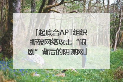 起底台APT组织 撕破网络攻击“闹剧”背后的阴谋网