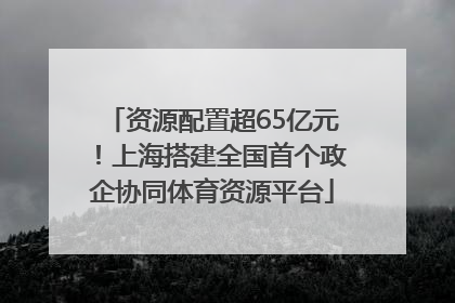 资源配置超65亿元！上海搭建全国首个政企协同体育资源平台