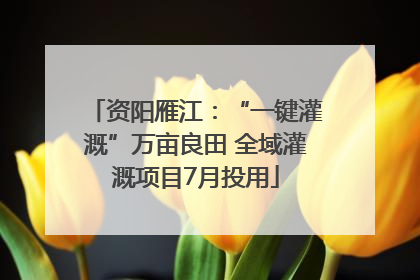 资阳雁江：“一键灌溉”万亩良田 全域灌溉项目7月投用