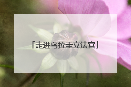 走进乌拉圭立法宫