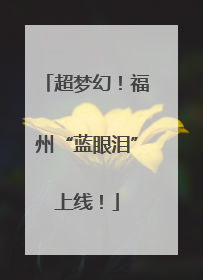 超梦幻！福州“蓝眼泪”上线！