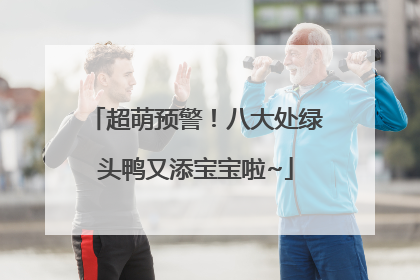 超萌预警！八大处绿头鸭又添宝宝啦~