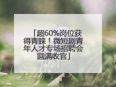 超60%岗位获得青睐！微短剧青年人才专场招聘会圆满收官