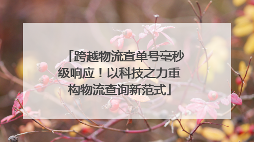 跨越物流查单号毫秒级响应！以科技之力重构物流查询新范式