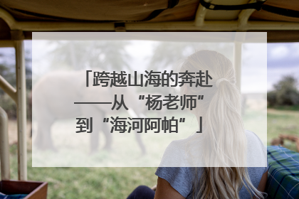 跨越山海的奔赴——从“杨老师”到“海河阿帕”