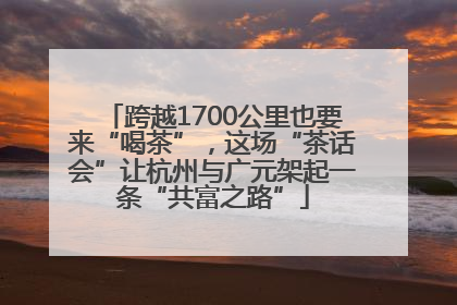跨越1700公里也要来“喝茶”，这场“茶话会”让杭州与广元架起一条“共富之路”