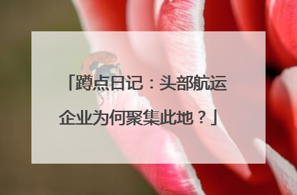 蹲点日记：头部航运企业为何聚集此地？