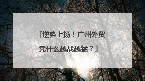 逆势上扬！广州外贸凭什么越战越猛？
