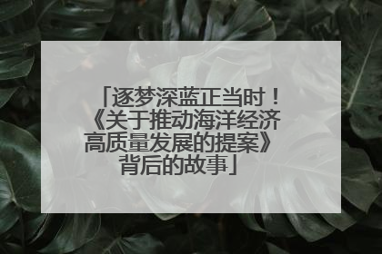 逐梦深蓝正当时！《关于推动海洋经济高质量发展的提案》背后的故事