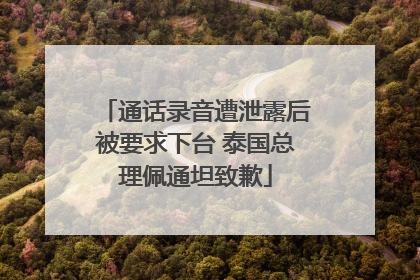 通话录音遭泄露后被要求下台 泰国总理佩通坦致歉