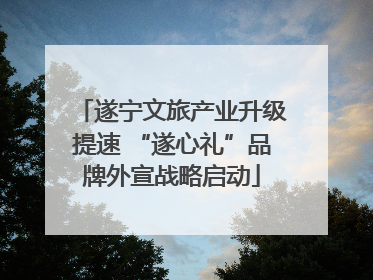 遂宁文旅产业升级提速 “遂心礼”品牌外宣战略启动