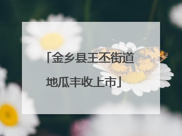金乡县王丕街道地瓜丰收上市