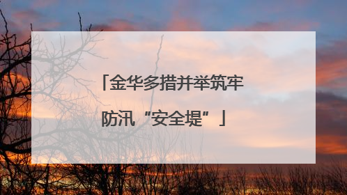 金华多措并举筑牢防汛“安全堤”