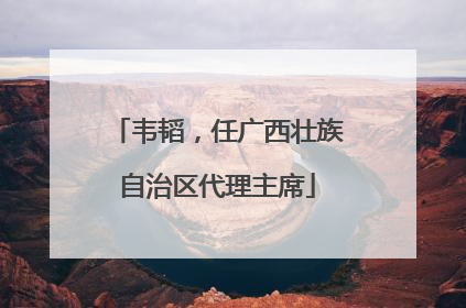 韦韬，任广西壮族自治区代理主席