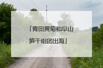 青田黄菊和阜山笋干组团出海