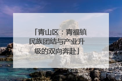 青山区：青福镇民族团结与产业升级的双向奔赴