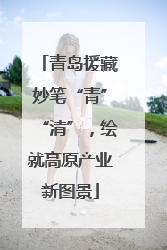 青岛援藏妙笔“青”“清”，绘就高原产业新图景