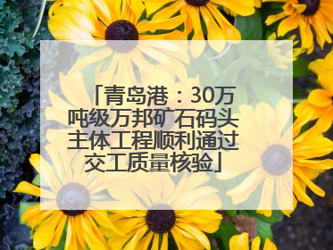 青岛港：30万吨级万邦矿石码头主体工程顺利通过交工质量核验