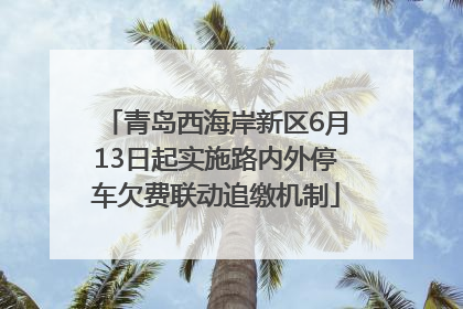 青岛西海岸新区6月13日起实施路内外停车欠费联动追缴机制
