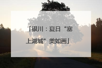银川：夏日“塞上湖城”美如画