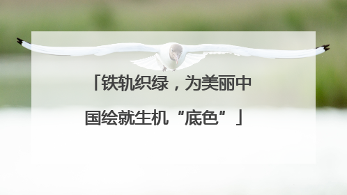 铁轨织绿，为美丽中国绘就生机“底色”