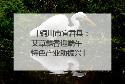 铜川市宜君县：艾草飘香迎端午 特色产业助振兴
