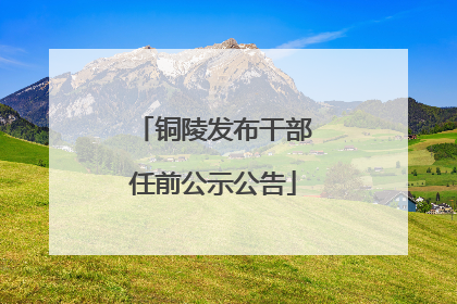 铜陵发布干部任前公示公告