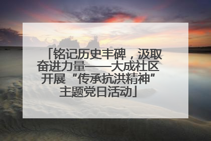 铭记历史丰碑，汲取奋进力量——大成社区开展“传承抗洪精神”主题党日活动