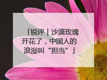 锐评｜沙漠玫瑰开花了，中国人的浪漫叫“担当”