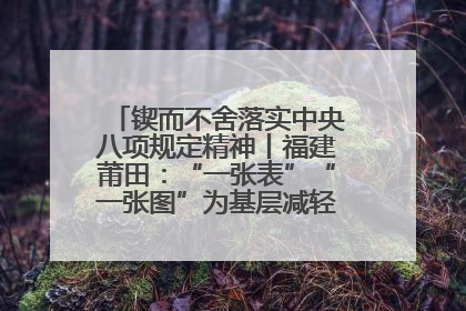 锲而不舍落实中央八项规定精神丨福建莆田：“一张表”“一张图”为基层减轻“数字负担”