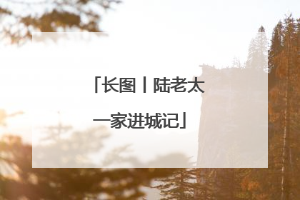 长图丨陆老太一家进城记