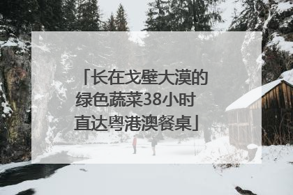 长在戈壁大漠的绿色蔬菜38小时直达粤港澳餐桌