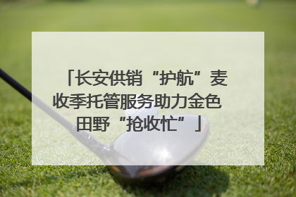 长安供销“护航”麦收季托管服务助力金色田野“抢收忙”