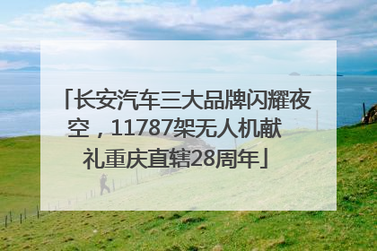 长安汽车三大品牌闪耀夜空，11787架无人机献礼重庆直辖28周年
