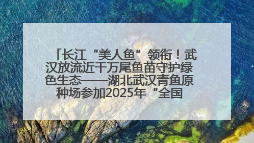长江“美人鱼”领衔！武汉放流近千万尾鱼苗守护绿色生态——湖北武汉青鱼原种场参加2025年“全国放鱼日”增殖放流活动