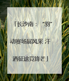长沙南：“羽”动赛场展风采 汗洒征途竞锋芒