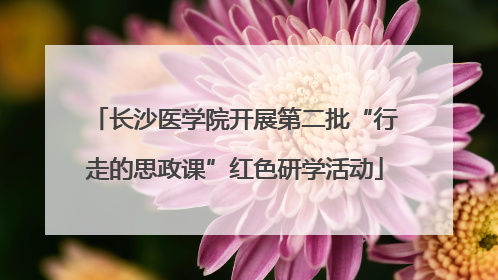 长沙医学院开展第二批“行走的思政课”红色研学活动