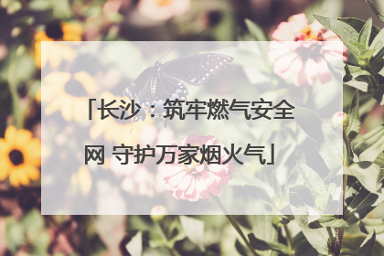 长沙：筑牢燃气安全网 守护万家烟火气