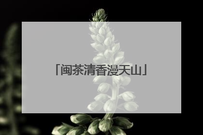 闽茶清香漫天山