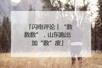闪电评论丨“数数数”，山东跑出加“数”度