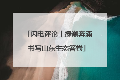 闪电评论丨绿潮奔涌 书写山东生态答卷