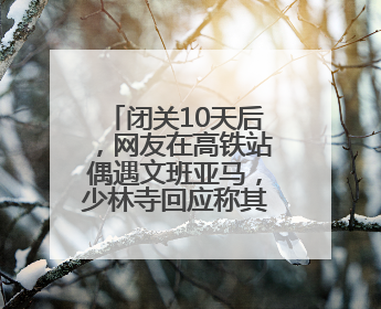 闭关10天后，网友在高铁站偶遇文班亚马，少林寺回应称其已离开寺院