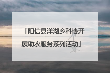 阳信县洋湖乡科协开展助农服务系列活动