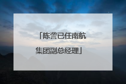 陈詟已任南航集团副总经理